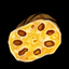 Lotus Root