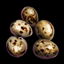 Pheasant Egg