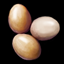 Chicken Egg