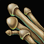 Longstalk Mushroom